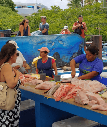 Fish Market Puerto Ayora