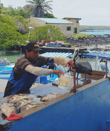 Man preparing a fish
