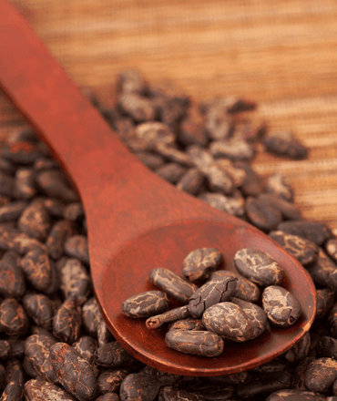 Cocoa beans