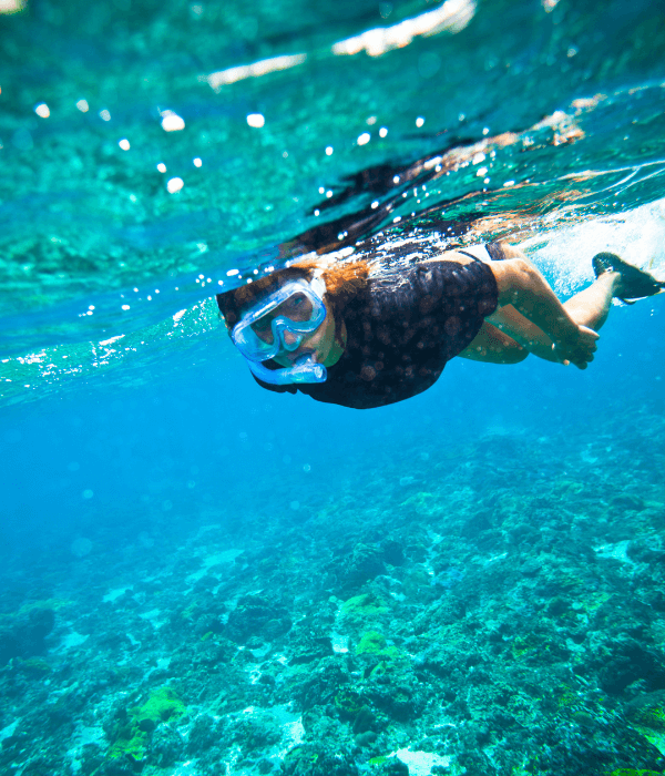 snorkeler