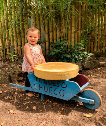 Child with cheese in wheelbarrow