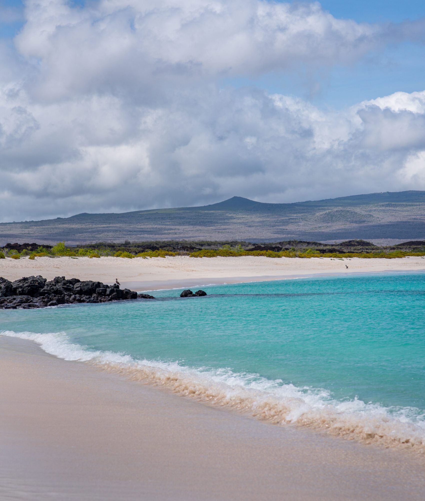 Galapagos Beach